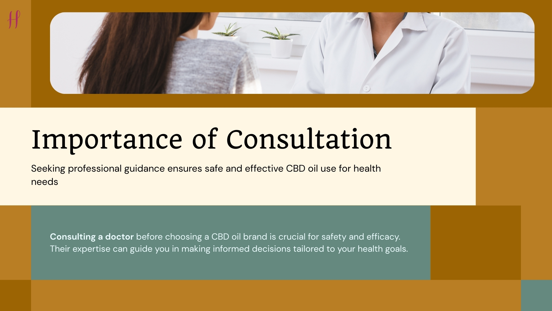 cbd oil manufacturer in India